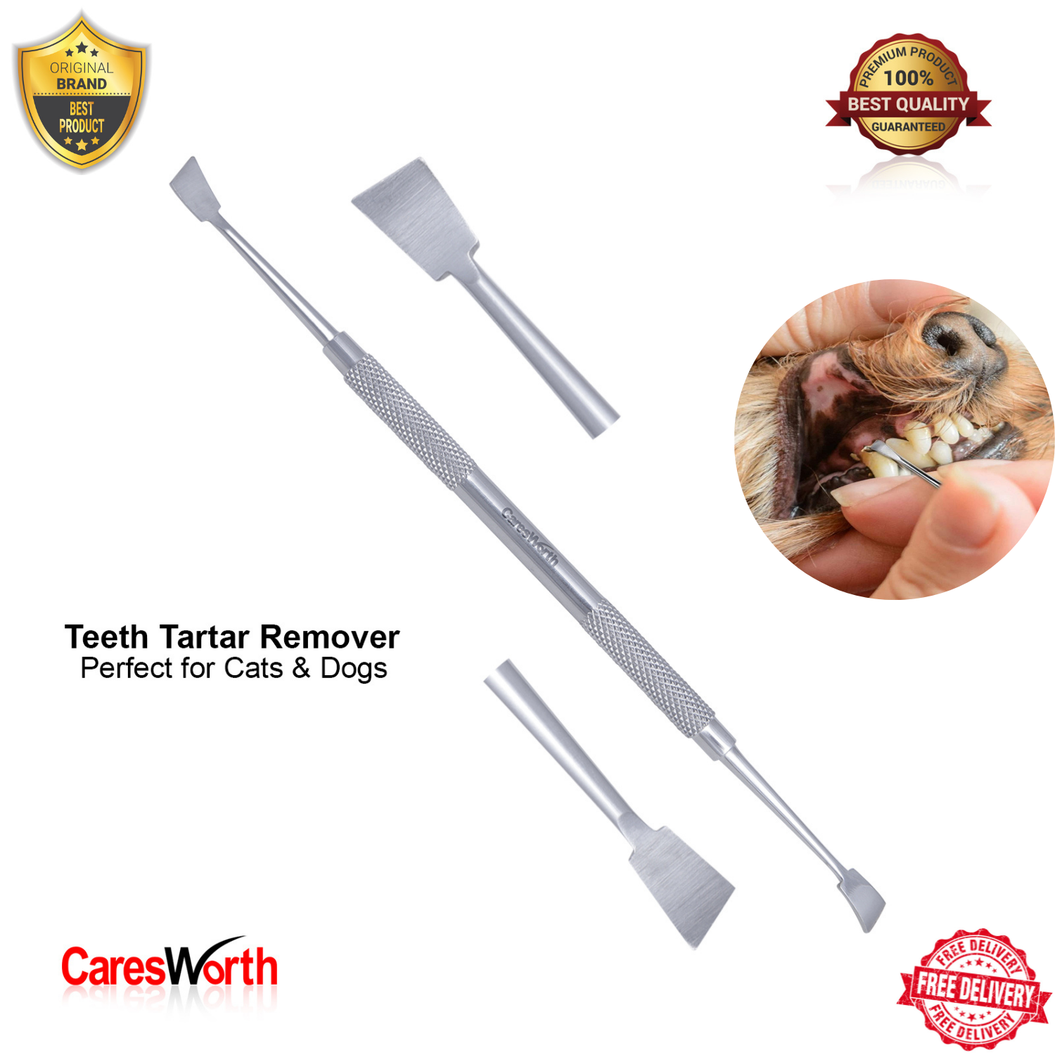 Animal Tooth De-Scaler, Pet Teeth Tartar Remover, Cat Dog Dental Oral Care Hygiene Pet Teeth Tartar Remove