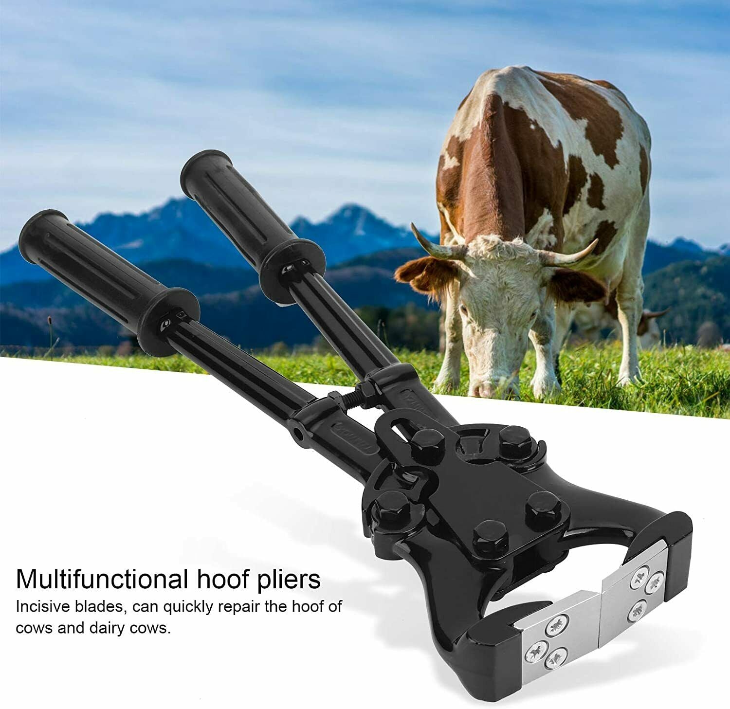 Stainless Steel Hoof Claw Cutter, Hoof Pincers for Hoof Trimming Farm Tool
