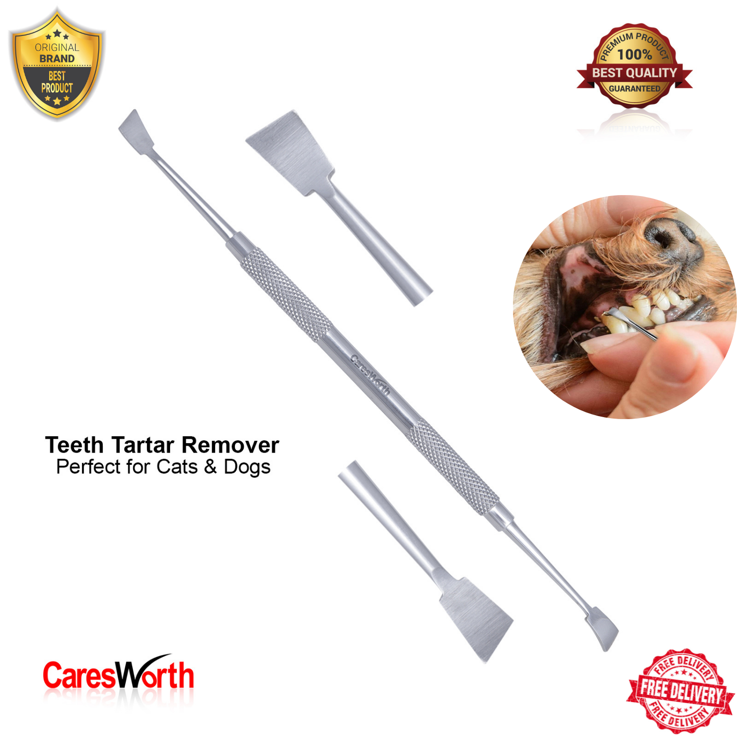 Animal Tooth De-Scaler, Pet Teeth Tartar Remover, Cat Dog Dental Oral Care Hygiene Pet Teeth Tartar Remover