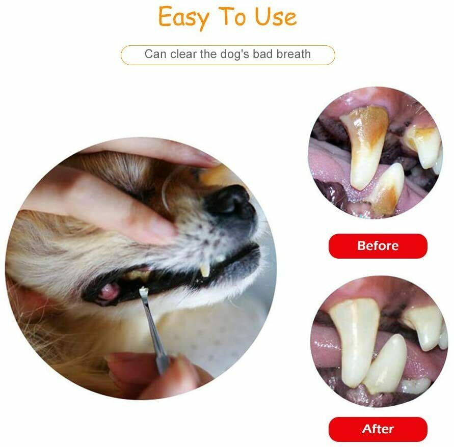 Animal Tooth De-Scaler, Pet Teeth Tartar Remover, Cat Dog Dental Oral Care Hygiene Pet Teeth Tartar Remover 1