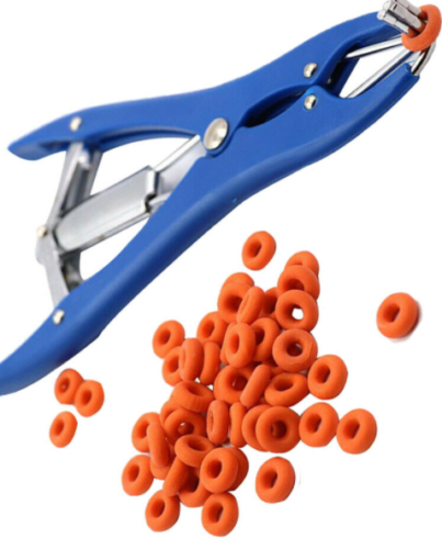 Castration Bander, Elastrator Castration Pliers Plastic Farm Animal Bander Castrations for Farm Cattle Goats Sheep 4